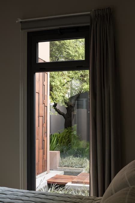 House around the Tree